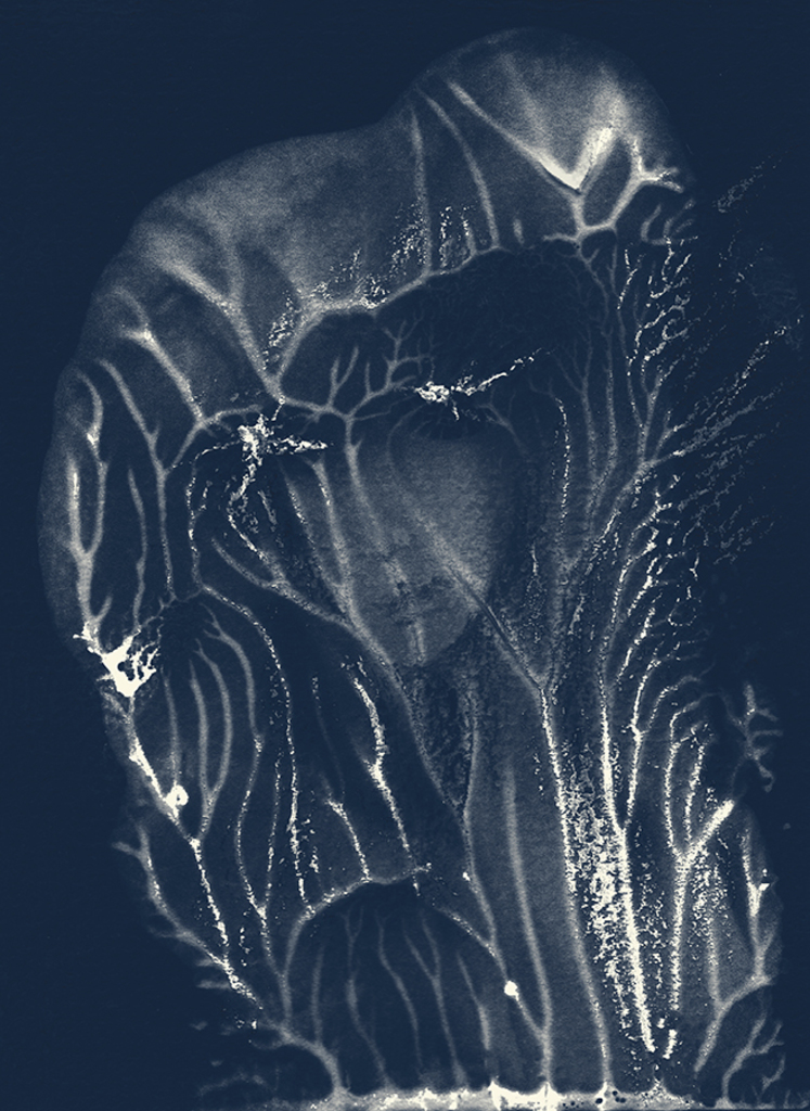 Выява адбітка „Мадонна. Прынт C“ з арыгінальнай карціны/малюнка Наталі Антановіч