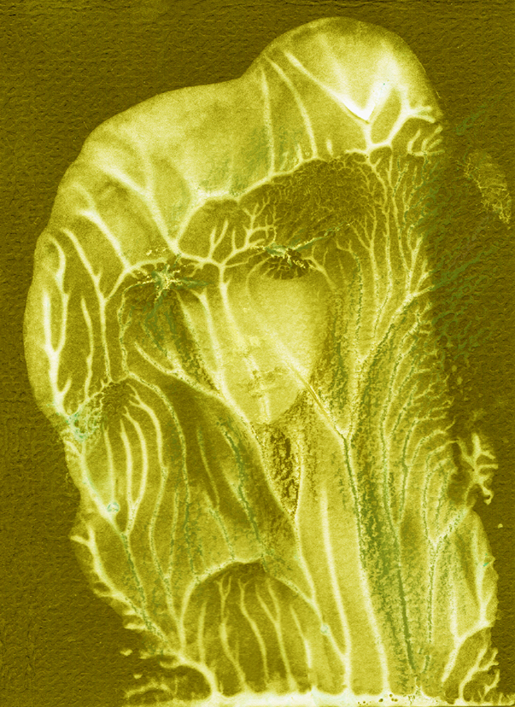 Выява адбітка „Мадонна. Прынт T“ з арыгінальнай карціны/малюнка Наталі Антановіч