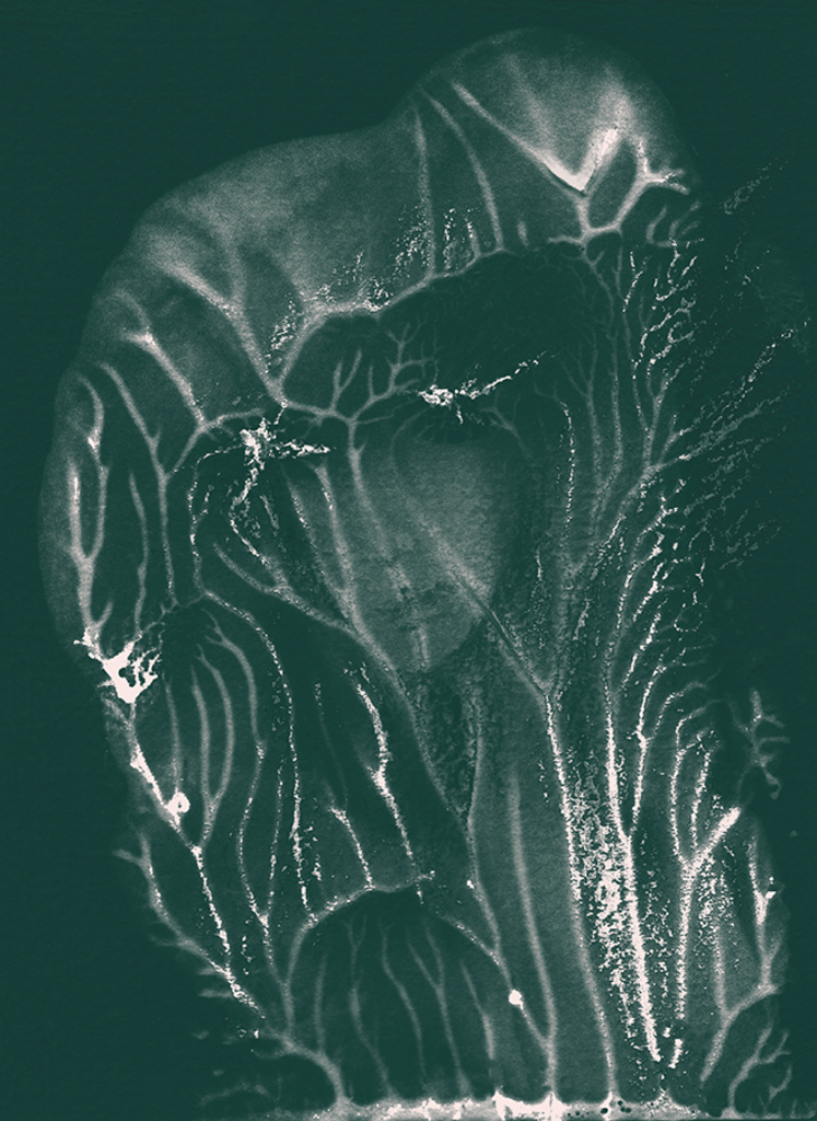 Image of Print "Madonna. Print P" from original Painting/Drawing by Natali Antonovich