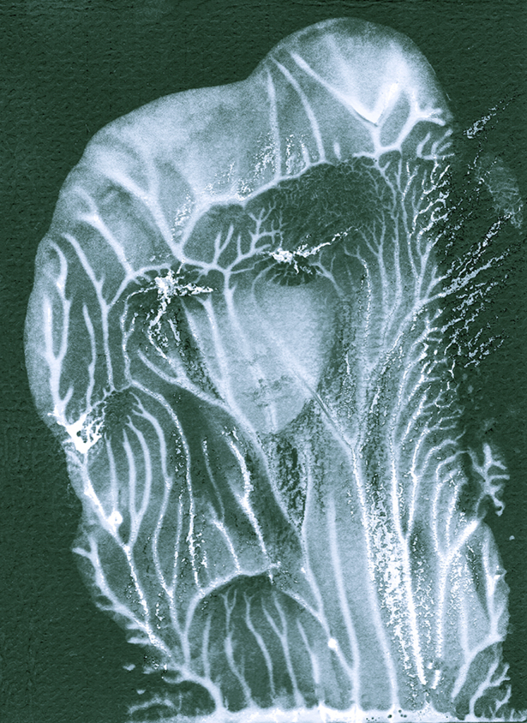 Image of Print "Madonna. Print  K" from original Painting/Drawing by Natali Antonovich