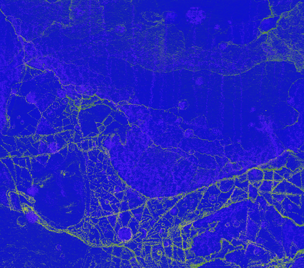 Выява адбітка „"Тайн верацяно..." Прынт W“ з арыгінальнай карціны/малюнка Наталі Антановіч