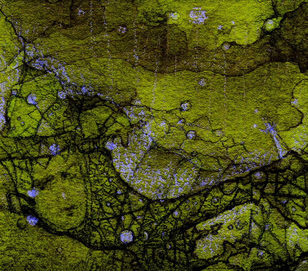 Выява адбітка „"Тайн верацяно..." Прынт AP“ з арыгінальнай карціны/малюнка Наталі Антановіч