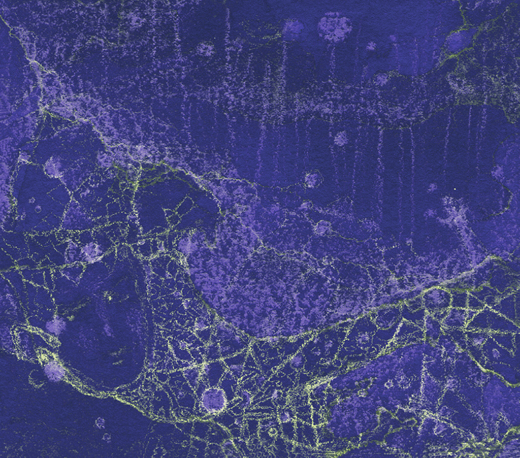 Image of Print ""Mystery spindle..." Print KM" from original Painting/Drawing by Natali Antonovich