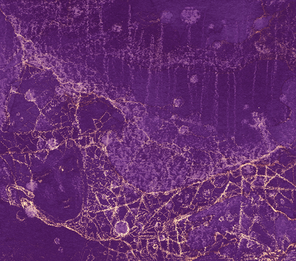 Image of Print ""Mystery spindle..." Print KR" from original Painting/Drawing by Natali Antonovich