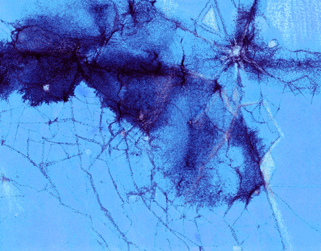 Image of Print "Tangled Past. Print  RRR" from original Painting/Drawing by Natali Antonovich