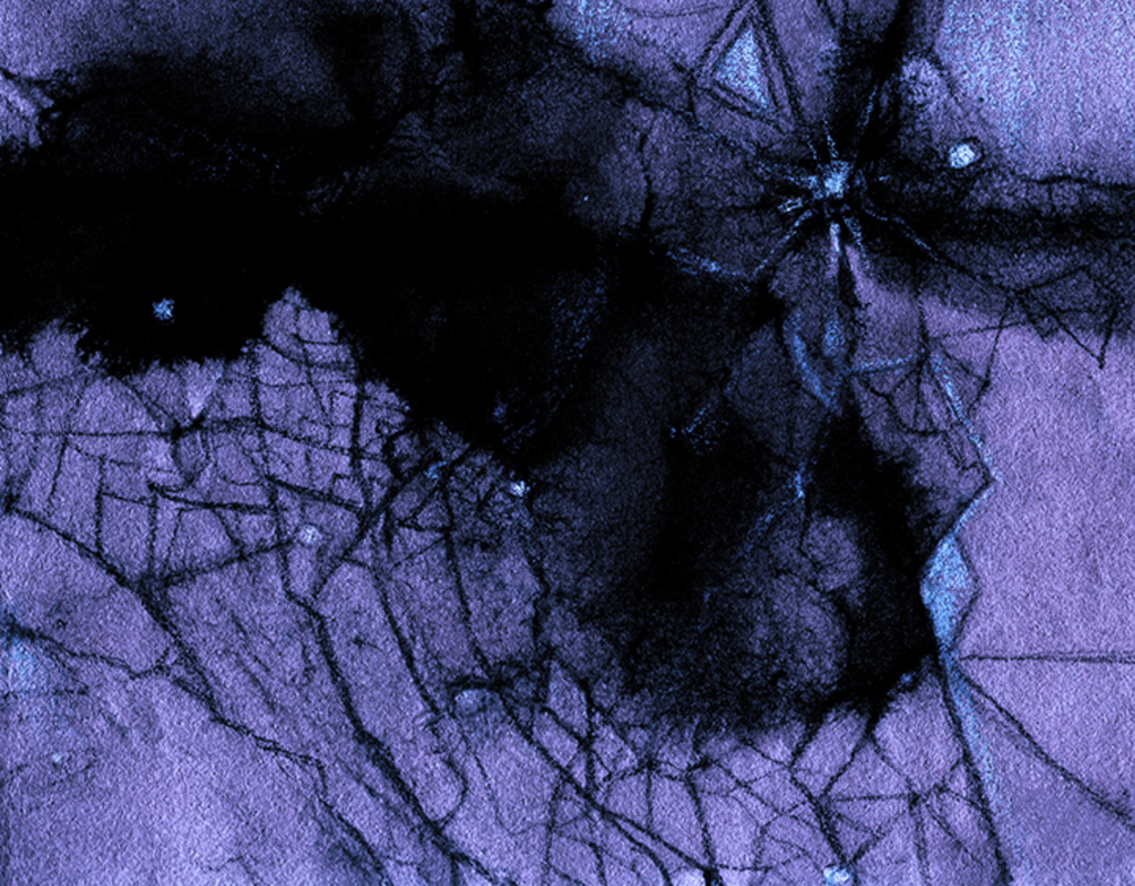 Выява адбітка „Заблытанае Мінулае. Прынт JJJ“ з арыгінальнай карціны/малюнка Наталі Антановіч