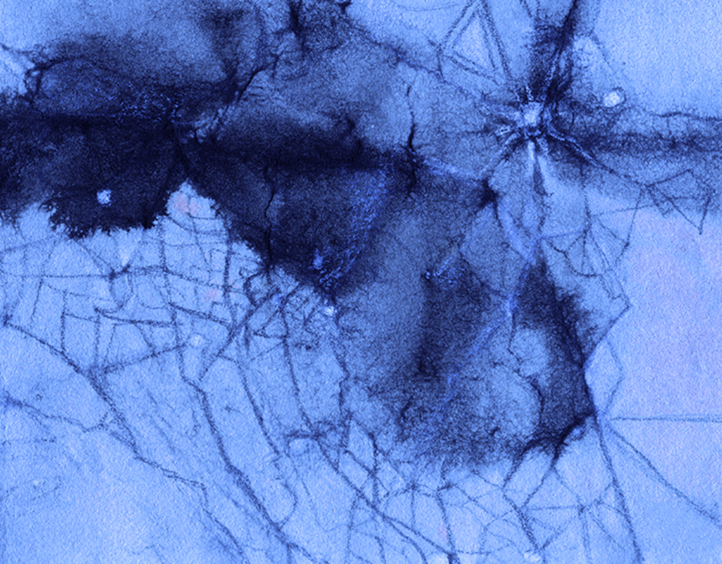 Image of Print "Tangled Past. Print  AAA" from original Painting/Drawing by Natali Antonovich