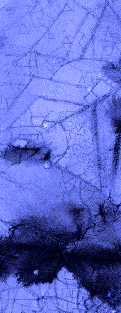 Image of Print "Tangled Past. Print  NN-NN" from original Painting/Drawing by Natali Antonovich