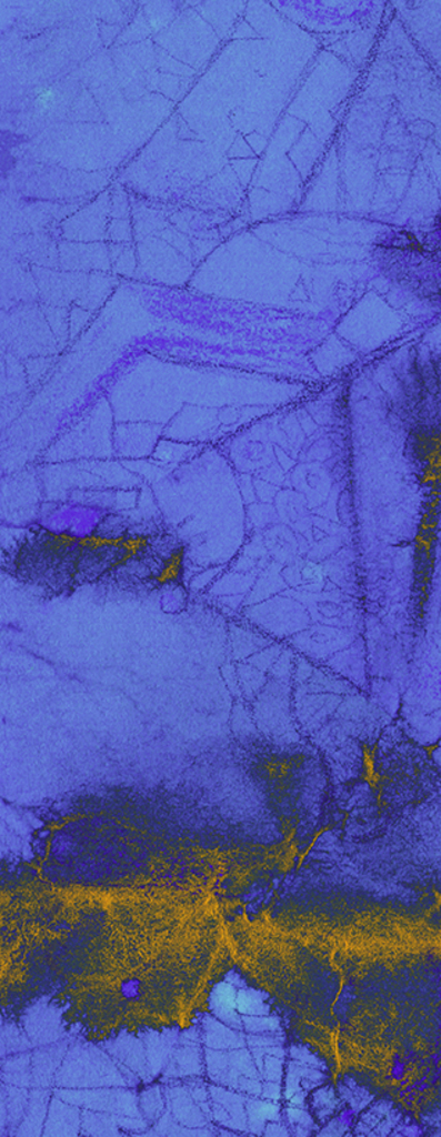 Image of Print "Tangled Past. Print  KK-KK" from original Painting/Drawing by Natali Antonovich