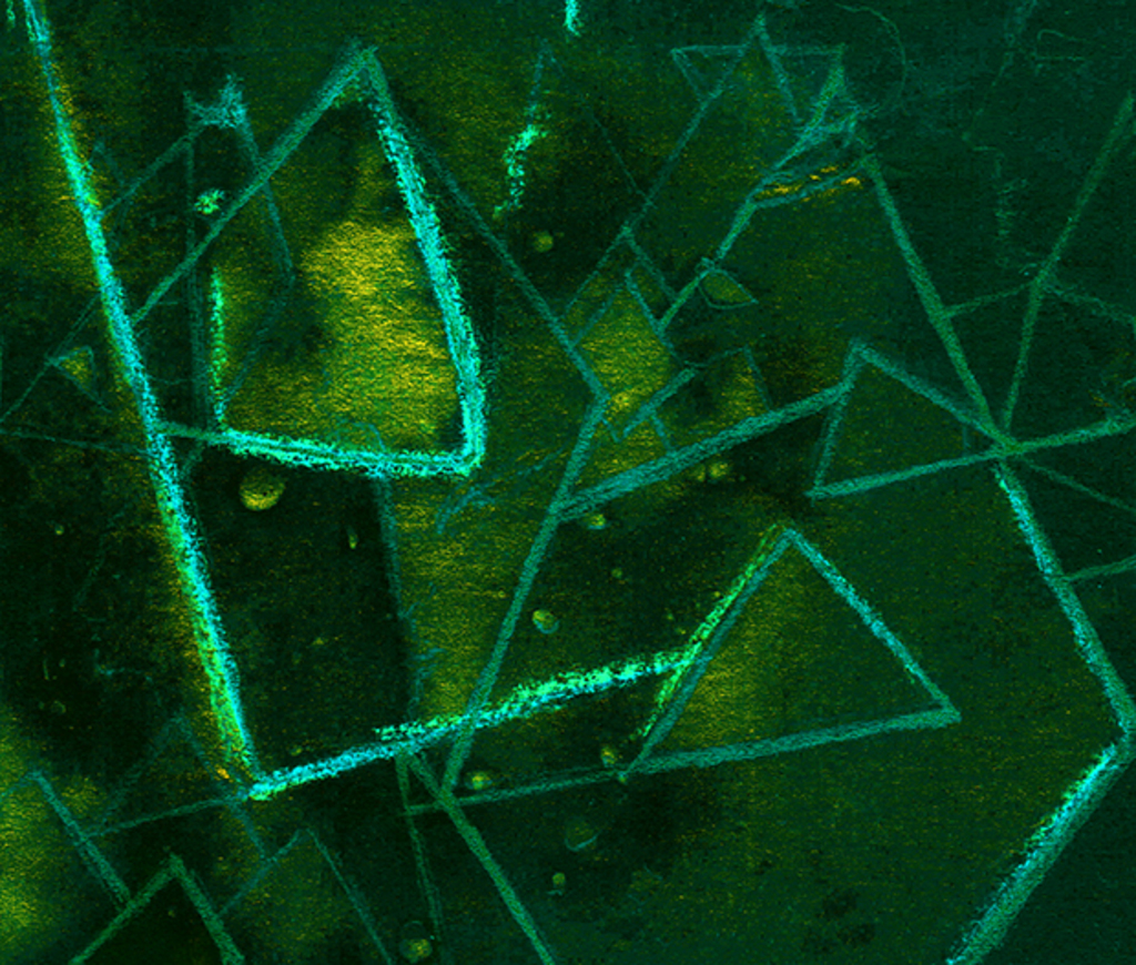 Bild der Drucks „Grenzen trennen. Drucke  DG“ vom Original gemälde/Zeichnung von Natali Antonovich