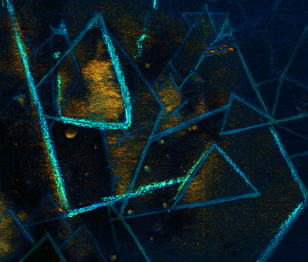 Bild der Drucks „Grenzen trennen. Drucke  US“ vom Original gemälde/Zeichnung von Natali Antonovich