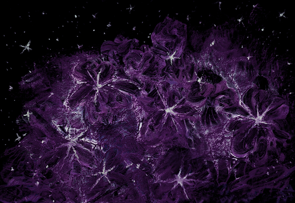 Afbeelding van print "Sterrenboeket. Afdruk B" van origineel schilderij/tekening door Natali Antonovich