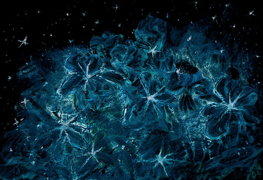 Bild der Drucks „Sternenstrauß. Drucke C“ vom Original gemälde/Zeichnung von Natali Antonovich