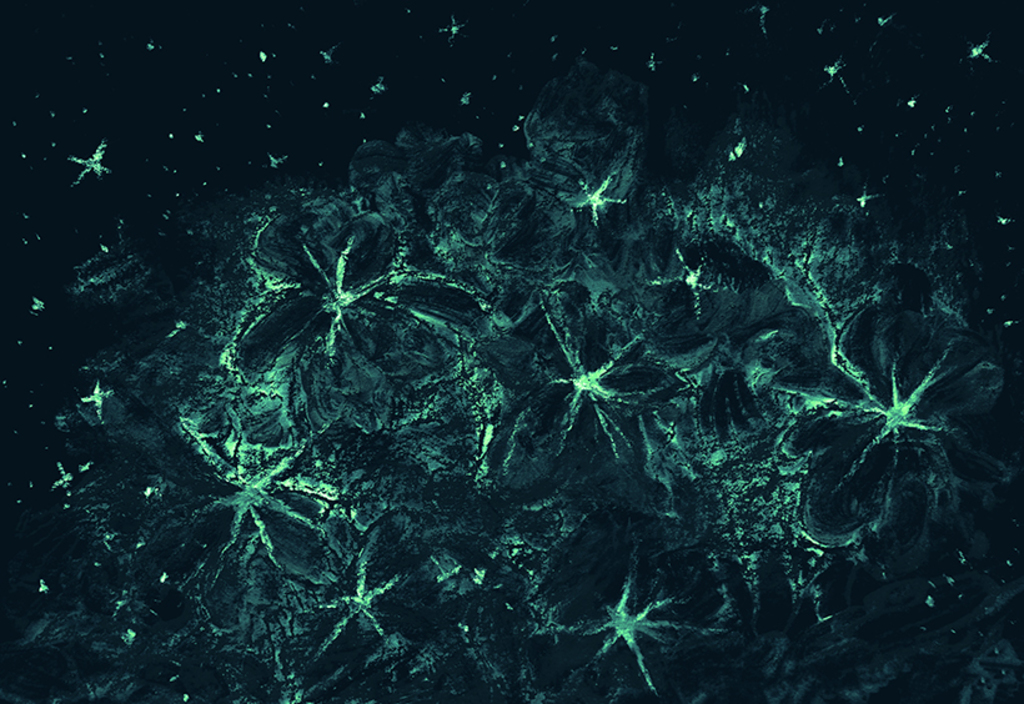 Bild der Drucks „Sternenstrauß. Drucke K“ vom Original gemälde/Zeichnung von Natali Antonovich