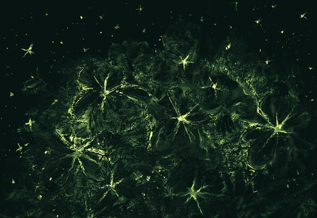 Afbeelding van print "Sterrenboeket. Afdruk P" van origineel schilderij/tekening door Natali Antonovich