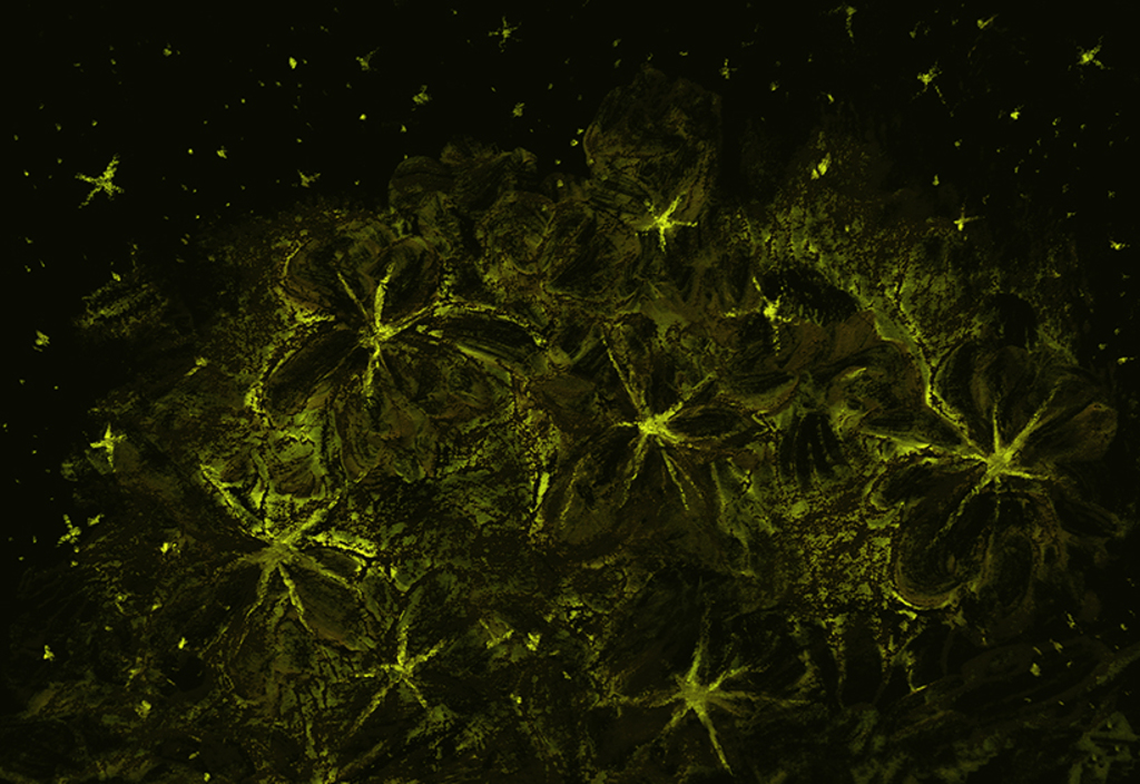 Bild der Drucks „Sternenstrauß. Drucke S“ vom Original gemälde/Zeichnung von Natali Antonovich