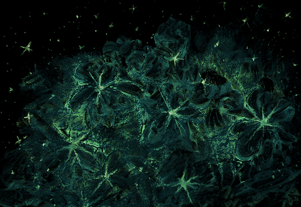 Bild der Drucks „Sternenstrauß. Drucke G“ vom Original gemälde/Zeichnung von Natali Antonovich