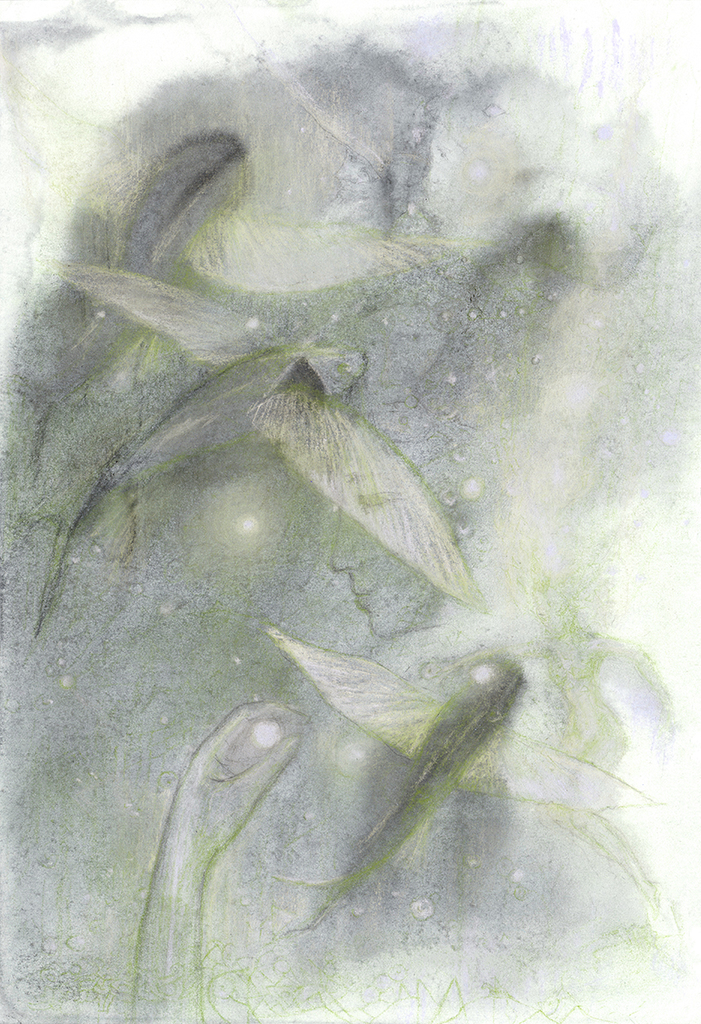 Bild der Drucks „Fisch der Zeit. Drucke B“ vom Original gemälde/Zeichnung von Natali Antonovich