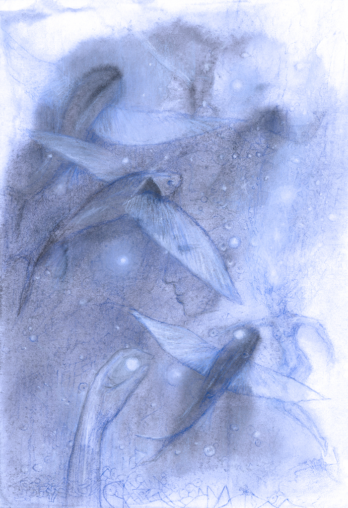 Bild der Drucks „Fisch der Zeit. Drucke  D“ vom Original gemälde/Zeichnung von Natali Antonovich