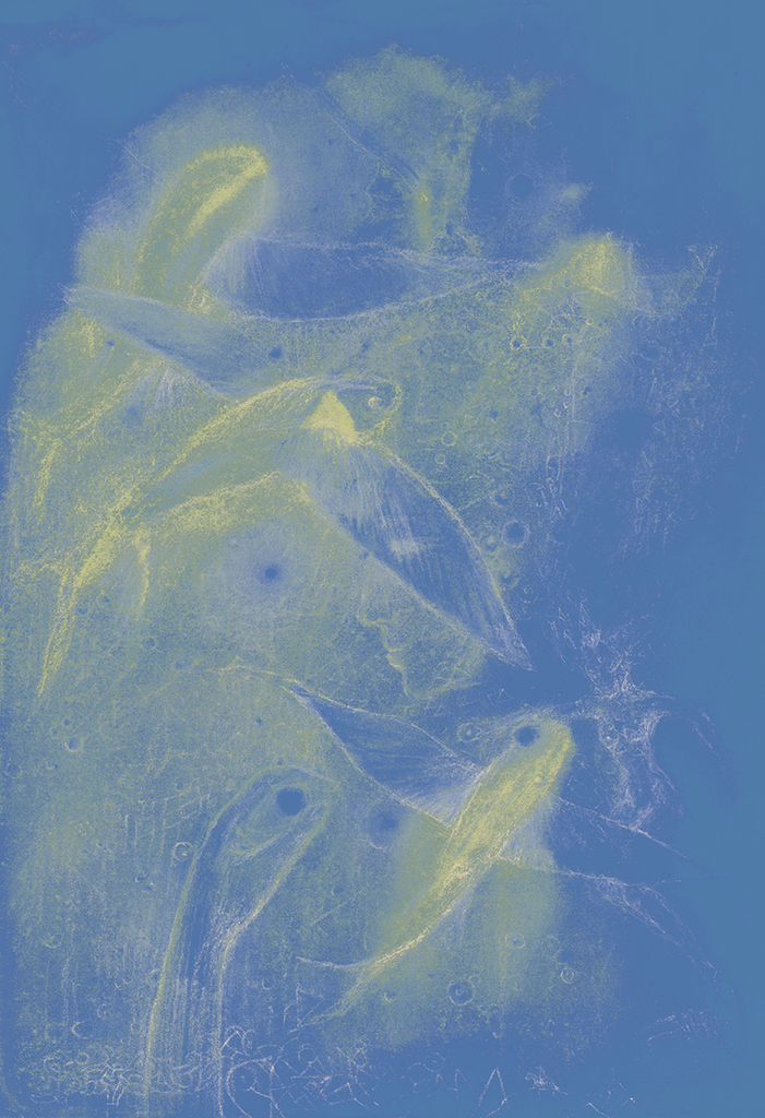 Bild der Drucks „Fisch der Zeit. Drucke  W“ vom Original gemälde/Zeichnung von Natali Antonovich