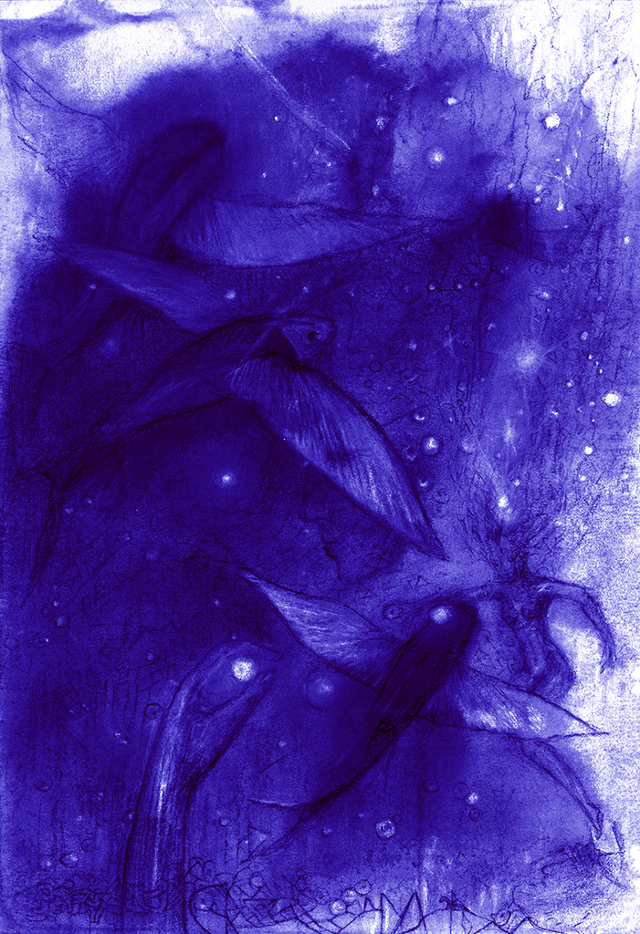 Bild der Drucks „Fisch der Zeit. Drucke  M“ vom Original gemälde/Zeichnung von Natali Antonovich