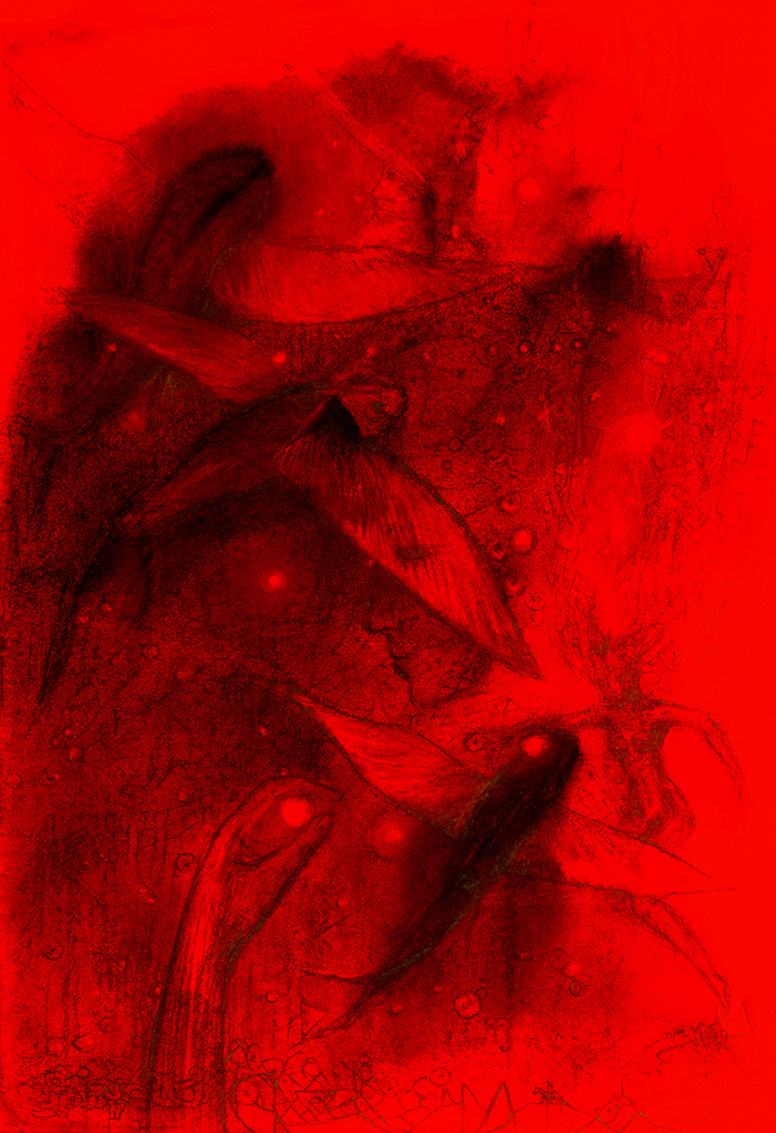 Bild der Drucks „Fisch der Zeit. Drucke  AK“ vom Original gemälde/Zeichnung von Natali Antonovich