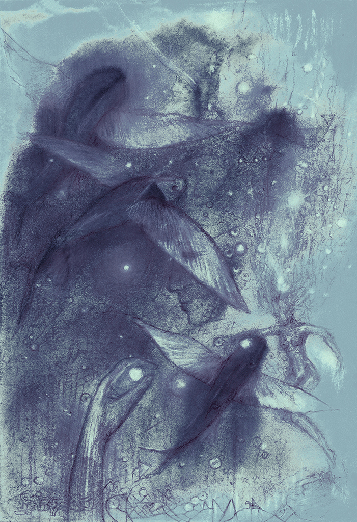 Bild der Drucks „Fisch der Zeit. Drucke  CJ“ vom Original gemälde/Zeichnung von Natali Antonovich