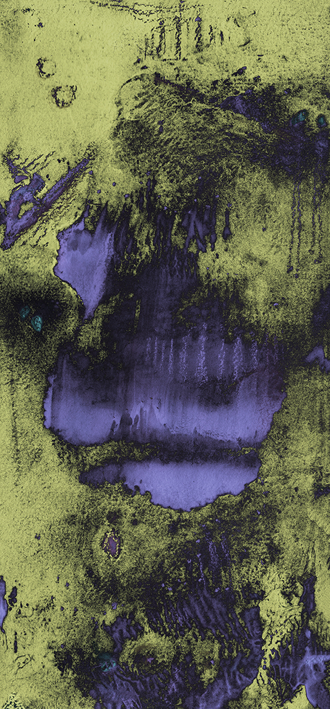 Выява адбітка „...ілюзія. Прынт B“ з арыгінальнай карціны/малюнка Наталі Антановіч