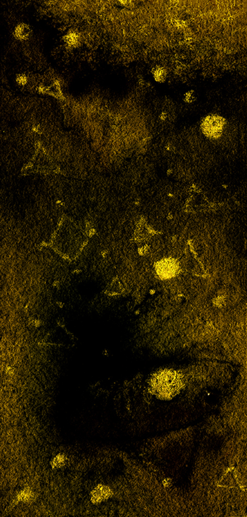 Image de l'impression „Ce n'est pas un jeu. Impression R“ à partir de la peinture/dessin original de Natali Antonovich