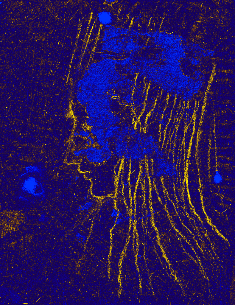 Изображение принта „Пересечение Лучей. Принт FK“ с оригинальной картины/рисунка Натальи Антонович