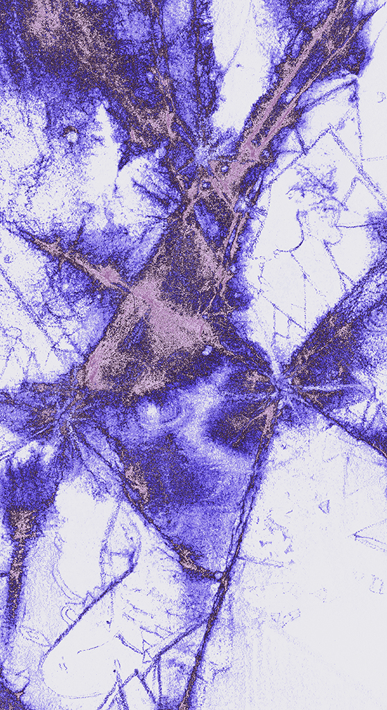 Image of Print "Tangled Past. Print  SMMS" from original Painting/Drawing by Natali Antonovich