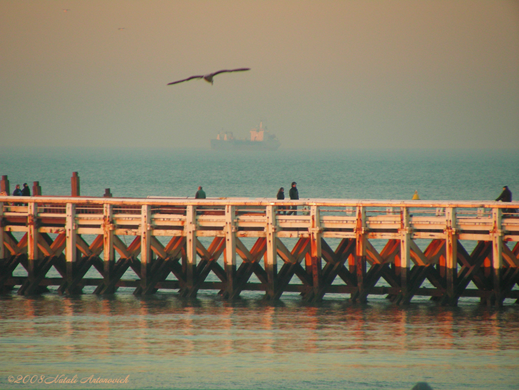 Album  "Seascape" | Photography image "Belgian Coast" by Natali Antonovich in Photostock.