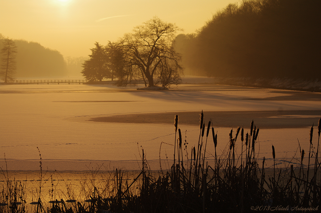 Album  "Winter landscape" | Photography image "Belgium" by Natali Antonovich in Photostock.