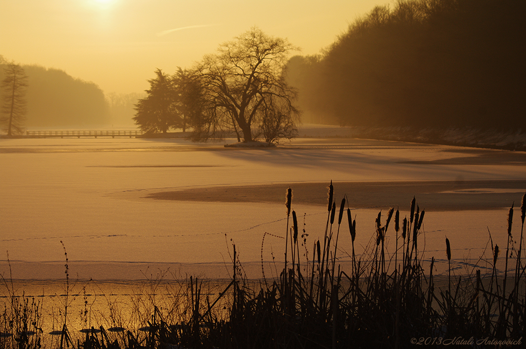 Album  "Winter landscape" | Photography image "Tervuren. Belgium" by Natali Antonovich in Photostock.