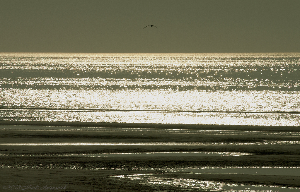 Album  "Belgian coast" | Photography image "Parallels" by Natali Antonovich in Photostock.