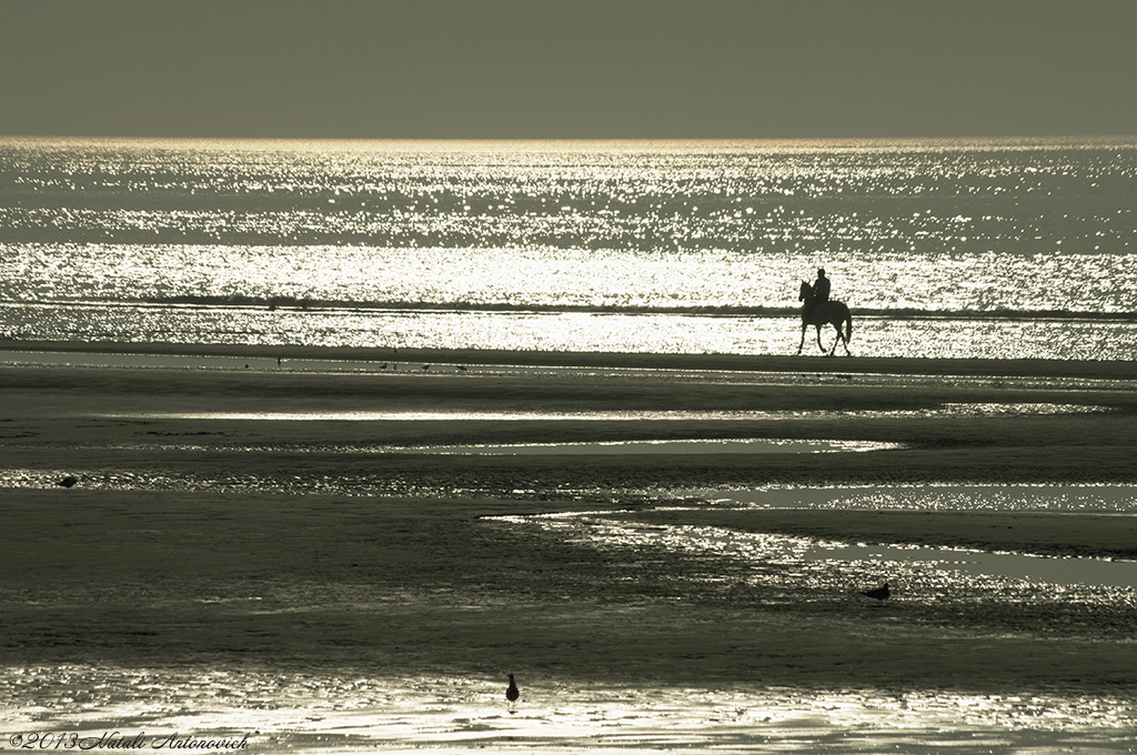 Album "Meer landschaft" | Fotografiebild "Parallelen" von Natali Antonovich im Sammlung/Foto Lager.