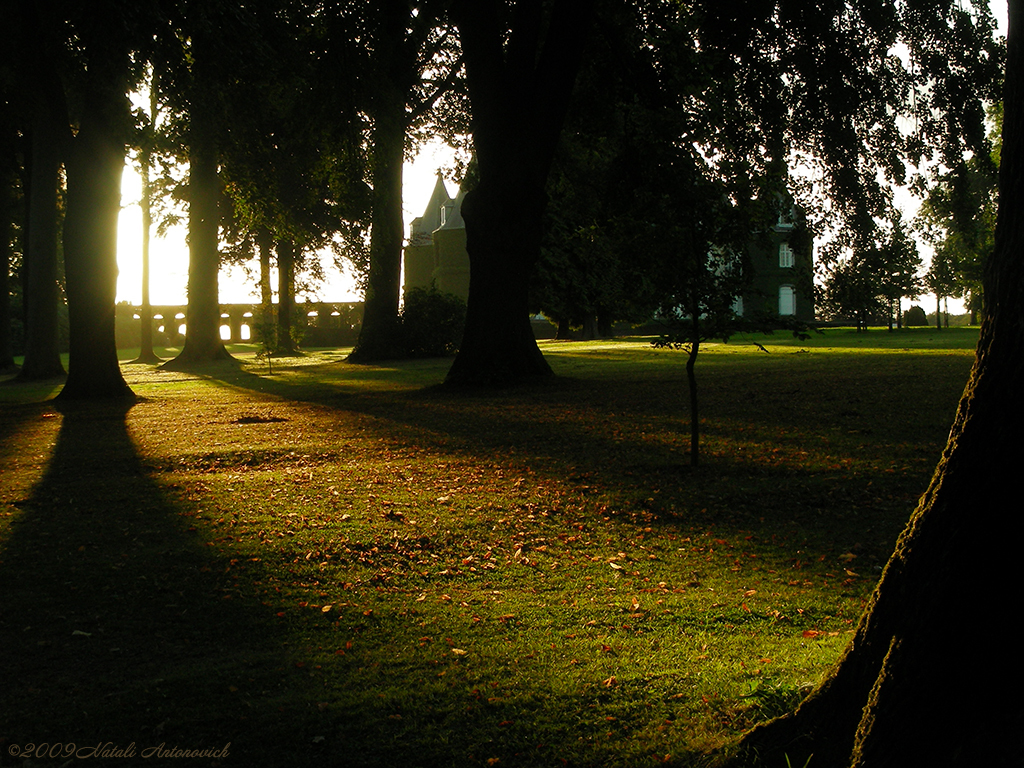 Album  "Image without title" | Photography image "Belgium" by Natali Antonovich in Photostock.