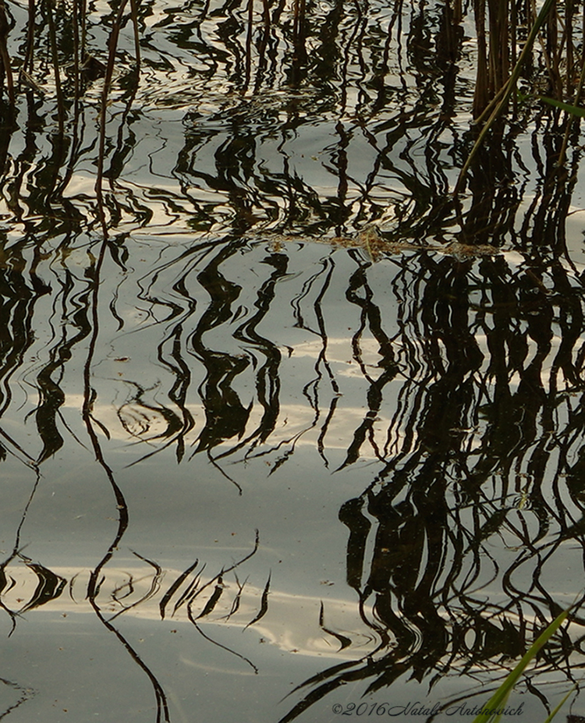 Album "Afbeelding zonder titel" | Fotografie afbeelding "Water Gravitation" door Natali Antonovich in Archief/Foto Voorraad.