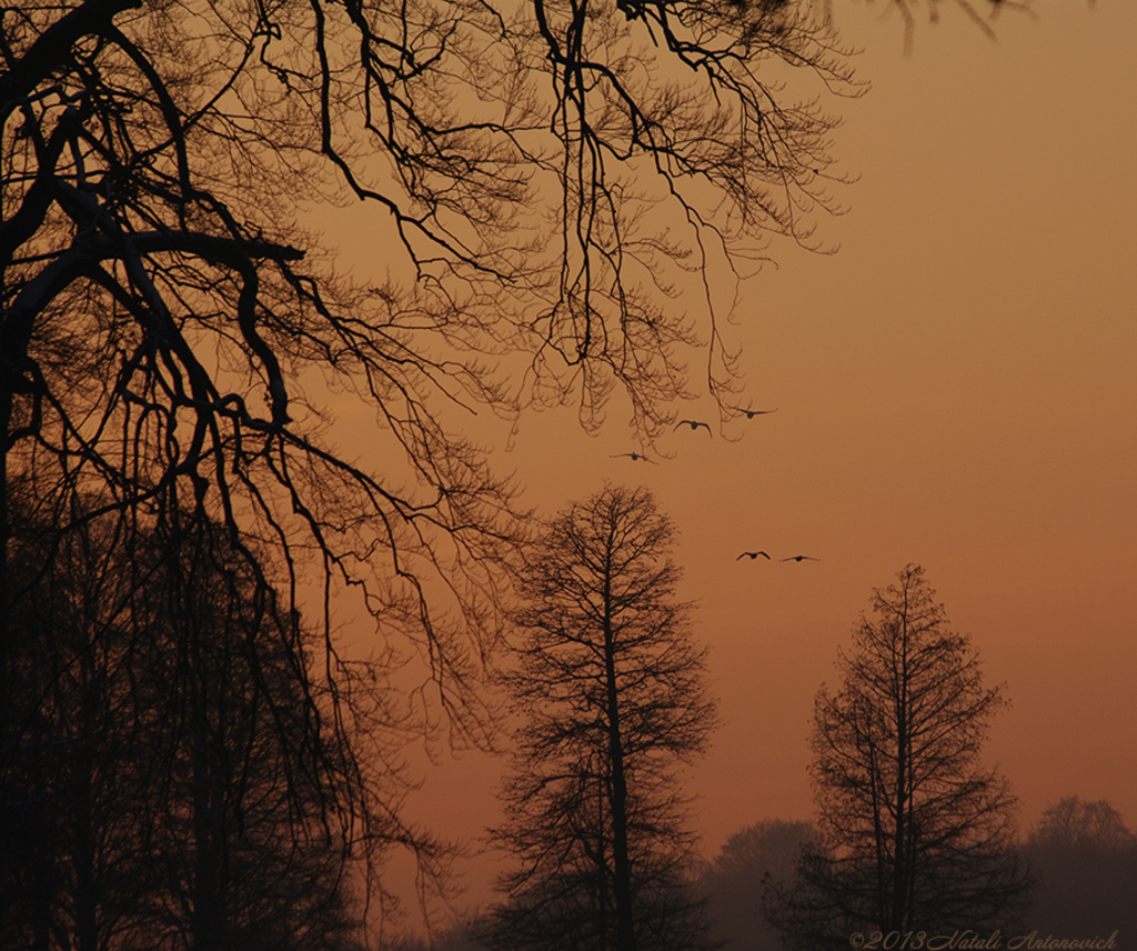 Fotografiebild "Bild ohne Titel" von Natali Antonovich | Sammlung/Foto Lager.