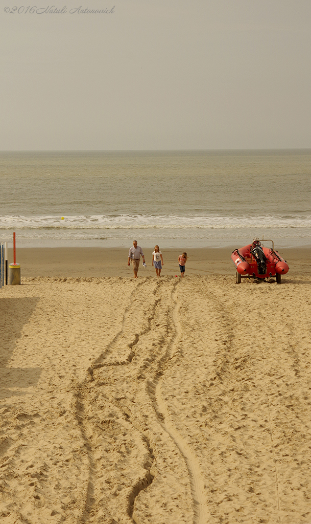 Fotografie afbeelding "Noordzee" door Natali Antonovich | Archief/Foto Voorraad.