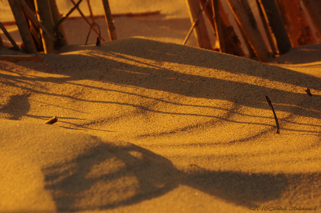 Album  "Image without title" | Photography image "Belgian Coast" by Natali Antonovich in Photostock.