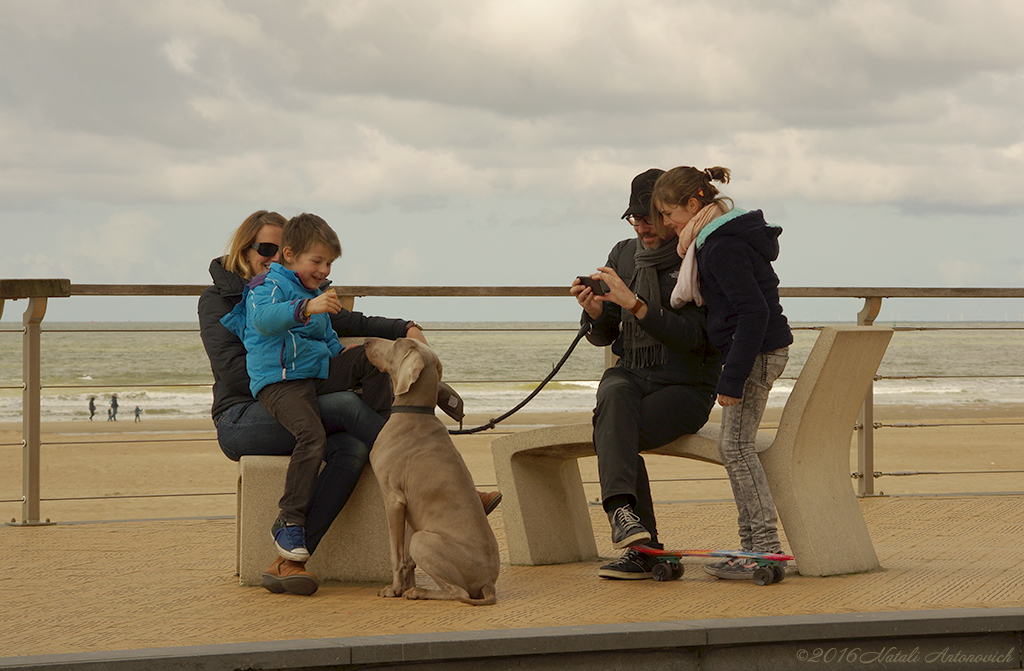 Album  "Portrait" | Photography image "Belgian Coast" by Natali Antonovich in Photostock.