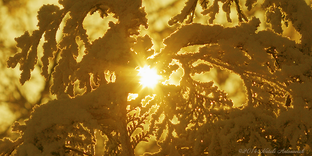Photography image "Image without title" by Natali Antonovich | Photostock.