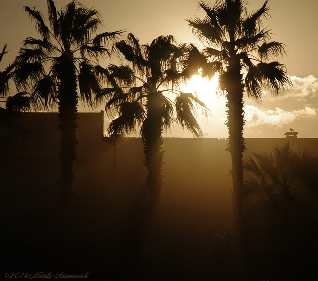 Photography image "Image without title" by Natali Antonovich | Photostock.