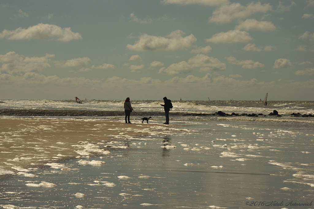 Album  "Seascape" | Photography image "Belgian Coast" by Natali Antonovich in Photostock.