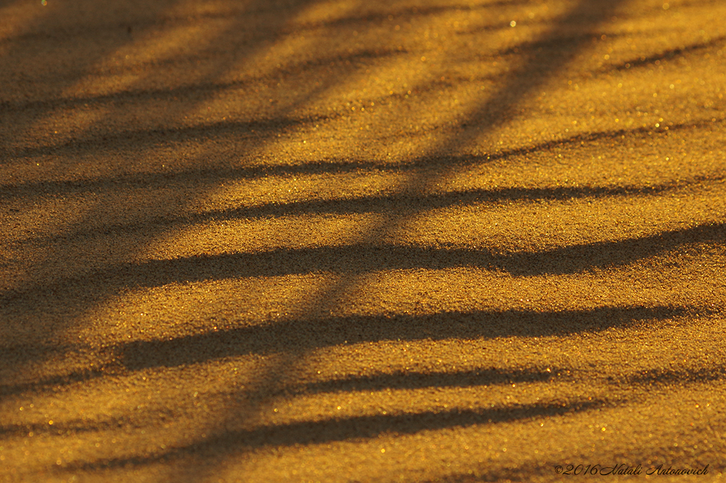 Photography image "Belgian Coast" by Natali Antonovich | Photostock.