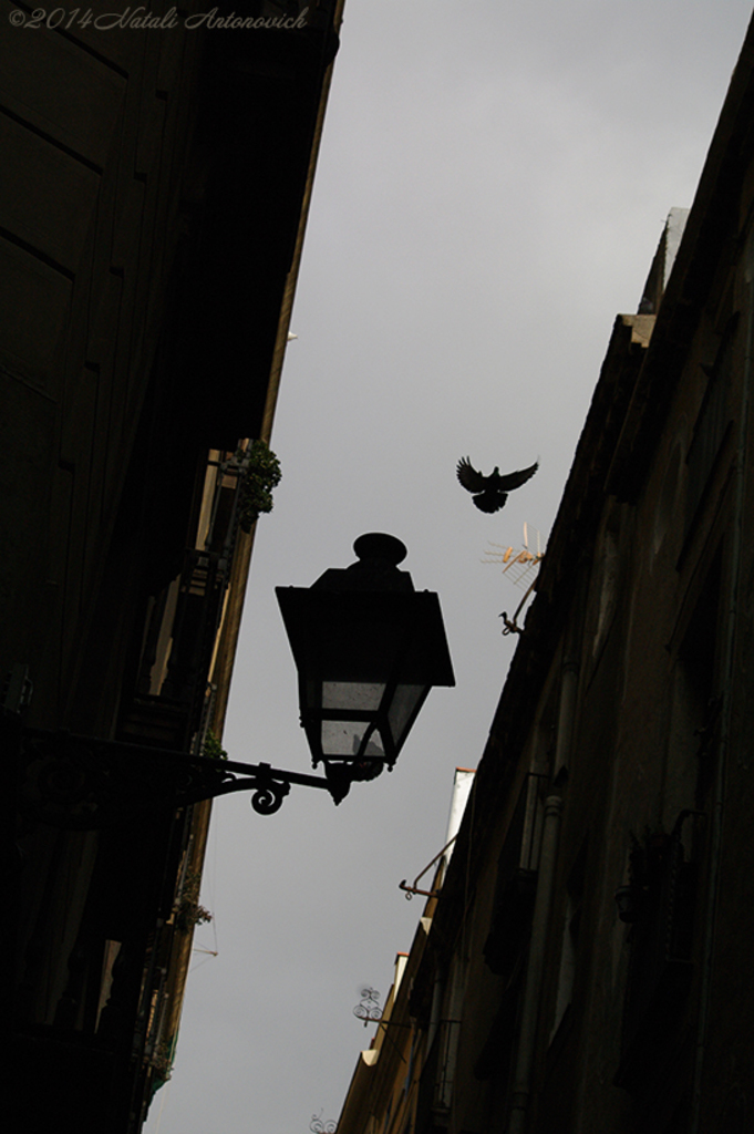 Image de photographie "Barcelone Vieille Ville" de Natali Antonovich | Photostock.