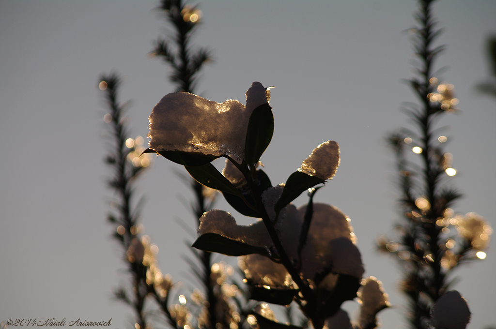 Image de photographie "Image sans titre" de Natali Antonovich | Photostock.