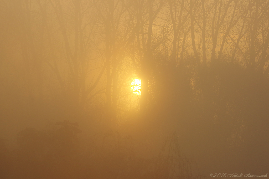 Album "Bild ohne Titel" | Fotografiebild "Celestial mood" von Natali Antonovich im Sammlung/Foto Lager.