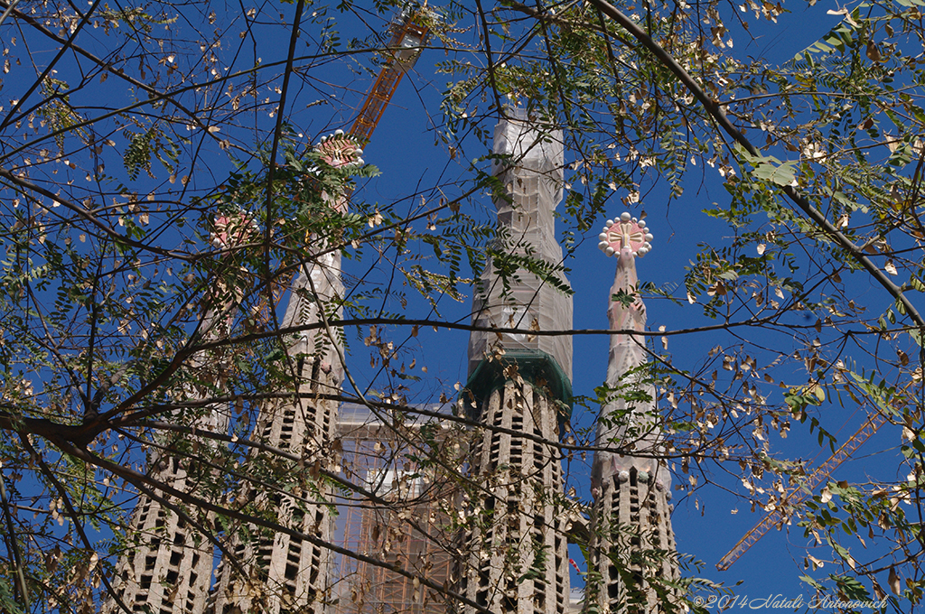 Album "Afbeelding zonder titel" | Fotografie afbeelding " Barcelona" door Natali Antonovich in Archief/Foto Voorraad.